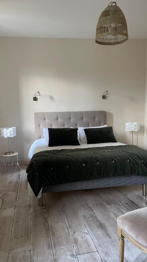 Maison Au Pied De La Cite Καρκασόν Εξωτερικό φωτογραφία